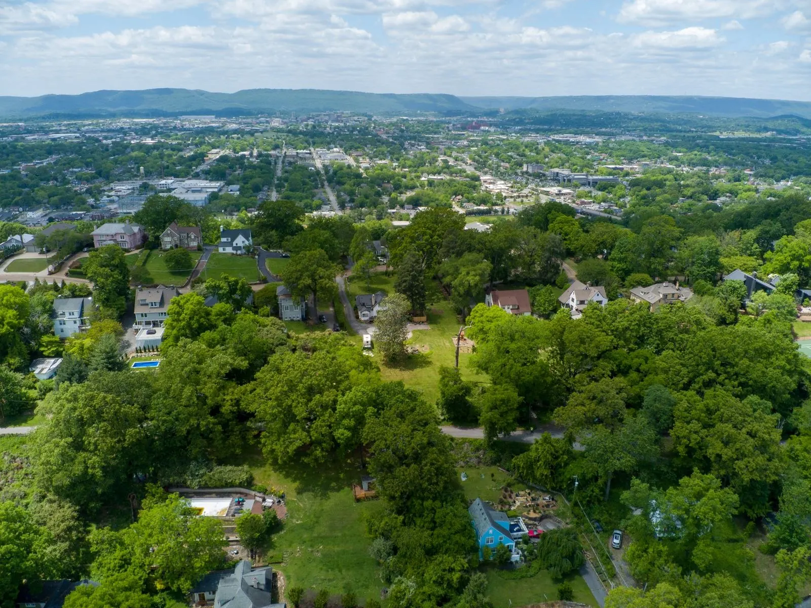 Tree-lined suburban homes viewed from above